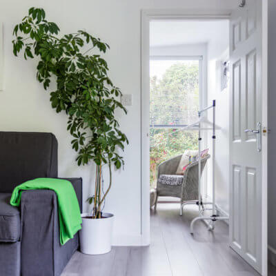 shot of annexe armchair and plant